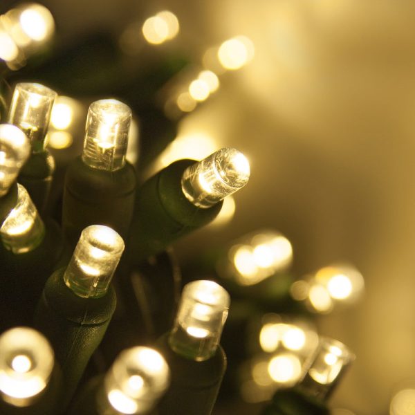 Holiday Wonderland 47922-88A Christmas Micro LED 70-Light Set, Warm White Online Hot Sale
